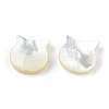 Natural White Shell Beads SSHEL-N034-124B-2