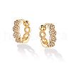 Brass Cubic Zirconia Hoop Earrings FS-WG6F7A1-01-1