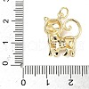 Brass Micro Pave Cubic Zirconia Pendants ZIRC-I356-03G-02-3