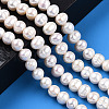 Natural Cultured Freshwater Pearl Beads Strands PEAR-N013-07H-2