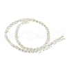 Yellow Watermelon Stone Glass Beads Strands G-M420-H16-03-3