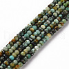 Natural African Turquoise(Jasper) Beads Strands G-S362-099-1