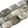 Natural Labradorite Beads Strands G-S386-A03-2