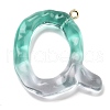 Resin Pendant FIND-Q107-01Q-01-1