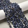 Natural Sodalite Beads Strands G-P575-C15-6mm-1