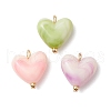 3Pcs 3 Colors Opaque Acrylic Pendants PALLOY-JF03343-02-1