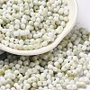 Baking Paint Glass Seed Beads SEED-F005-01A-10-1