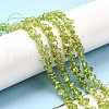 Natural Peridot Beads Strands G-F328-34A-2