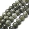 Natural Labradorite Bead Strands G-P256-01-4mm-1