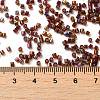Electroplate Glass Seed Beads SEED-S042-23B-01-4