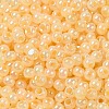 Glass Seed Beads SEED-H002-H-1307-3