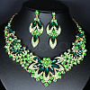 Flower Alloy Glass Rhinestone Pendant Necklace & Stud Dangle Earring Sets FS-WG74144-02-1