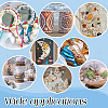   3 Strands 3 Styles Natural Sea Shell Conch Beads Strands SHEL-PH0001-44-5