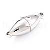 Tarnish Resistant 304 Stainless Steel Magnetic Clasps with Loops STAS-M290-06A-P-2