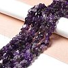 Natural Amethyst Beads Strands G-I351-A04-4