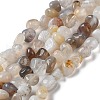 Natural Botswana Agate Beads Strands G-D081-A03-1