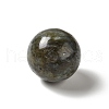Natural Labradorite Beads G-A206-02-17-2