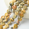 Flat Round Natural Crazy Lace Agate Beads Strands G-S110-05-3