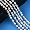 Natural Cultured Freshwater Pearl Beads Strands PEAR-N012-03D-6