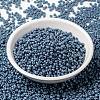 MIYUKI Round Rocailles Beads SEED-G008-RR2030-2