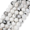 Natural Rainbow Moonstone Beads Strands G-Q1001-A05-03-1
