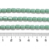 Opaque Glass Beads Strands GLAA-G112-04E-4