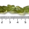 Raw Rough Natural Peridot Beads Strands G-P528-B05-02-4