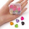 15Pcs Transparent Resin Pendants RESI-YW0001-45-3