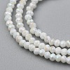 Electroplate Glass Beads Strands X-GLAA-F079-A-AB02-2