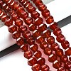 Dyed & Heated Natural Carnelian Beads Strands G-G177-I01-01-1