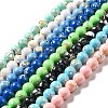Synthetic Turquoise and Sea Shell Assembled Beads Strands G-D482-01B-1