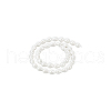  1 Strand Polished Shell Pearl Beads Strands BSHE-NB0001-32-8