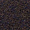 TOHO Round Seed Beads SEED-XTR11-0615-2
