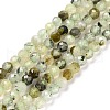 Natural Prehnite Beads Strands G-C009-A20-1