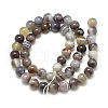 Natural Botswana Agate Beads Strands G-S150-24-8mm-2