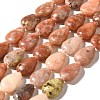 Natural Plum Blossom Jasper Beads Strands G-I377-A11-2
