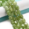 Dyed Natural Malaysia Jade Beads Strands G-P528-I01-01-2