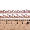 Natural Cultured Freshwater Pearl Beads Strands PEAR-N012-AA-03-5