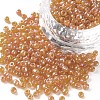 8/0 Round Glass Seed Beads SEED-US0003-3mm-169-1