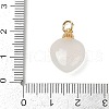 Natural White Agate Pendants KK-Z094-04G-01-3