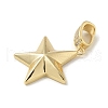 Brass Micro Pave Cubic Zirconia Pendants KK-U046-13G-2