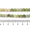 Natural Serpentine Bead Strands G-N166-6-1-5