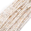 Natural Rainbow Moonstone Beads Strands G-RM2025-A27-5mm-2