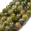 Faceted Natural Fire Crackle Agate Beads Strands G-F447-12mm-J06-2