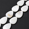 Natural Freshwater Shell Beads Strands X-SHEL-H001-12-2