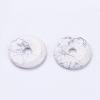 Natural Howlite Pendants G-F524-H03-1