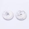 Natural Howlite Pendants G-F524-H03-1