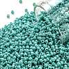 TOHO Round Seed Beads SEED-XTR11-0413-1