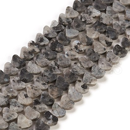 Natural Larvikite Beads Strands G-M403-A12-1