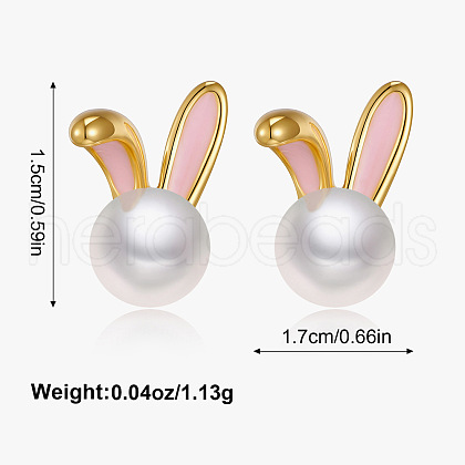 Rabbit Brass Micro Pave Clear Cubic Zirconia Stud Earrings FS-WGF953E-01-1